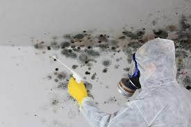 Best Mold Remediation for Healthcare Facilities  in Lexington, OK